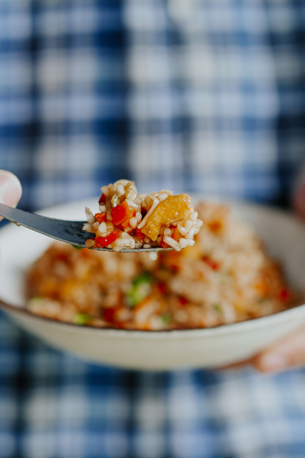 Back Country Cuisine Nasi Goreng —175 g