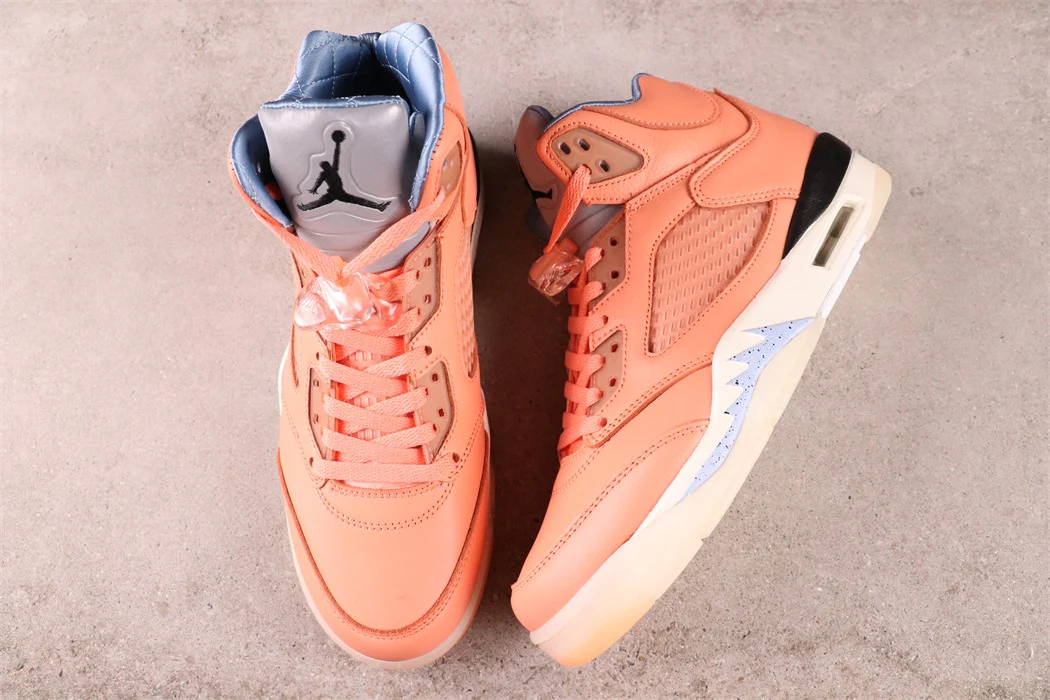 Air Jordan 5 