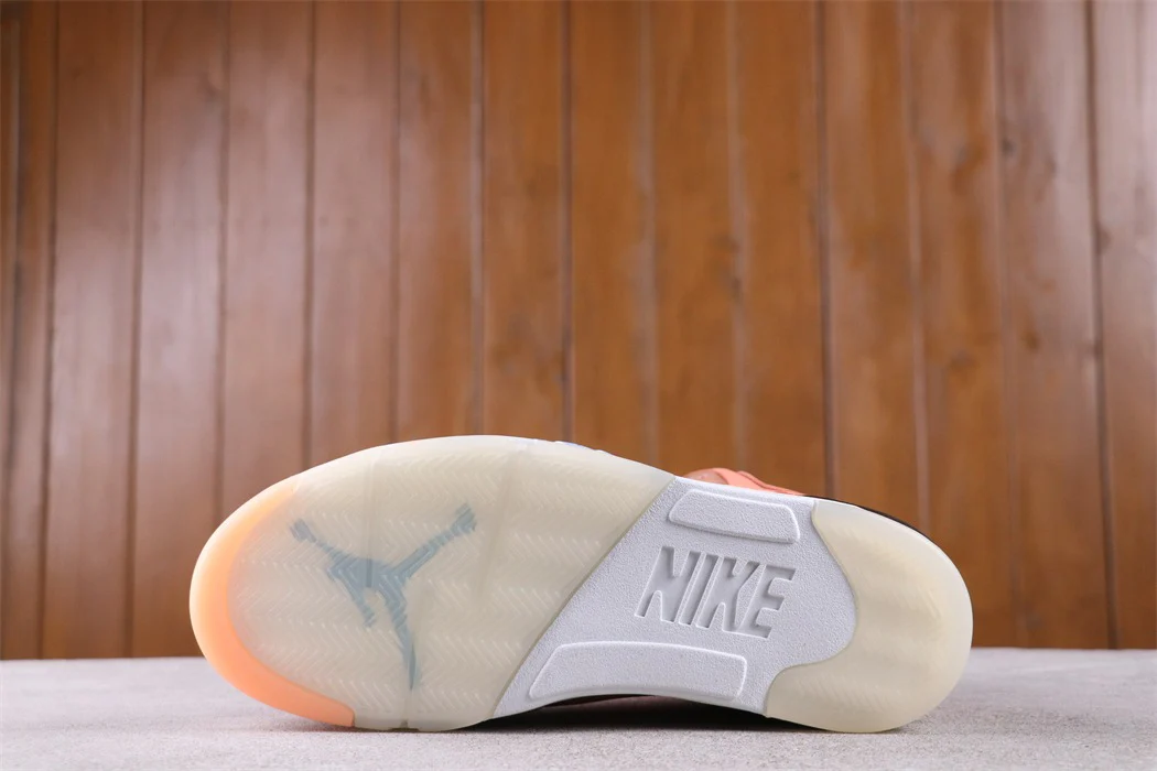 Air Jordan 5 