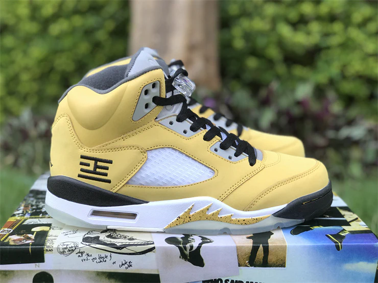 Air Jordan 5 
