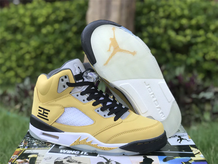 Air Jordan 5 