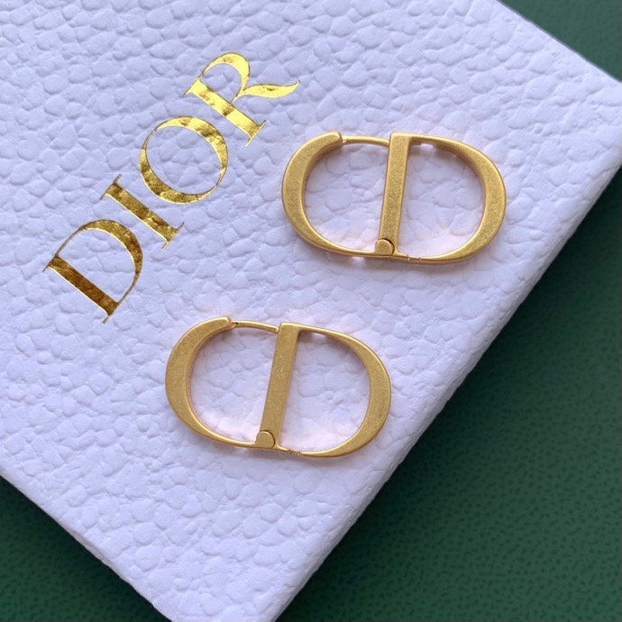 Dior Petit CD Stud Earrings - Soul Replicas
