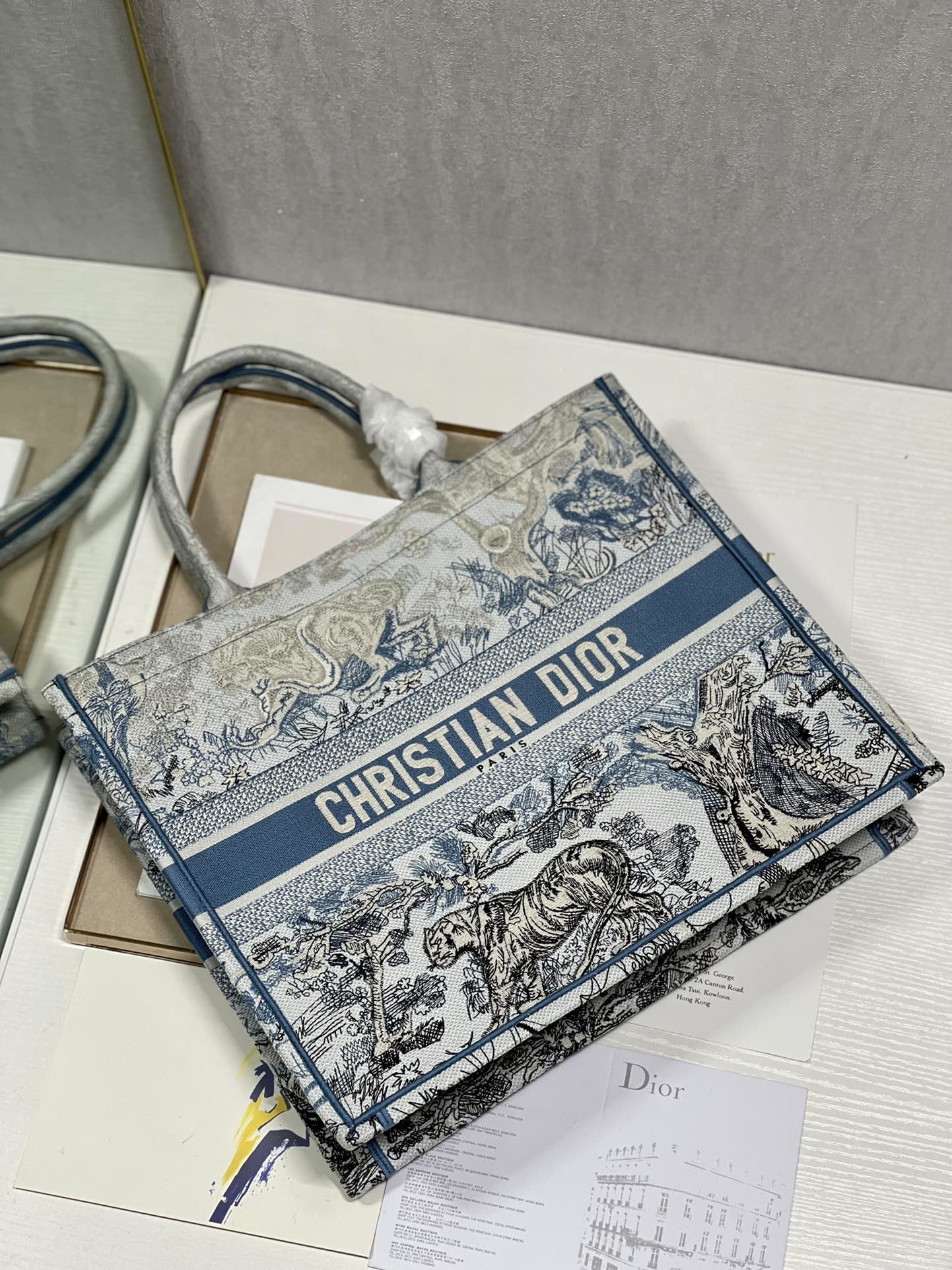 Christian Dior Large Book Tote Bag Blue For Women 42cm/16in CD - Soul Replicas