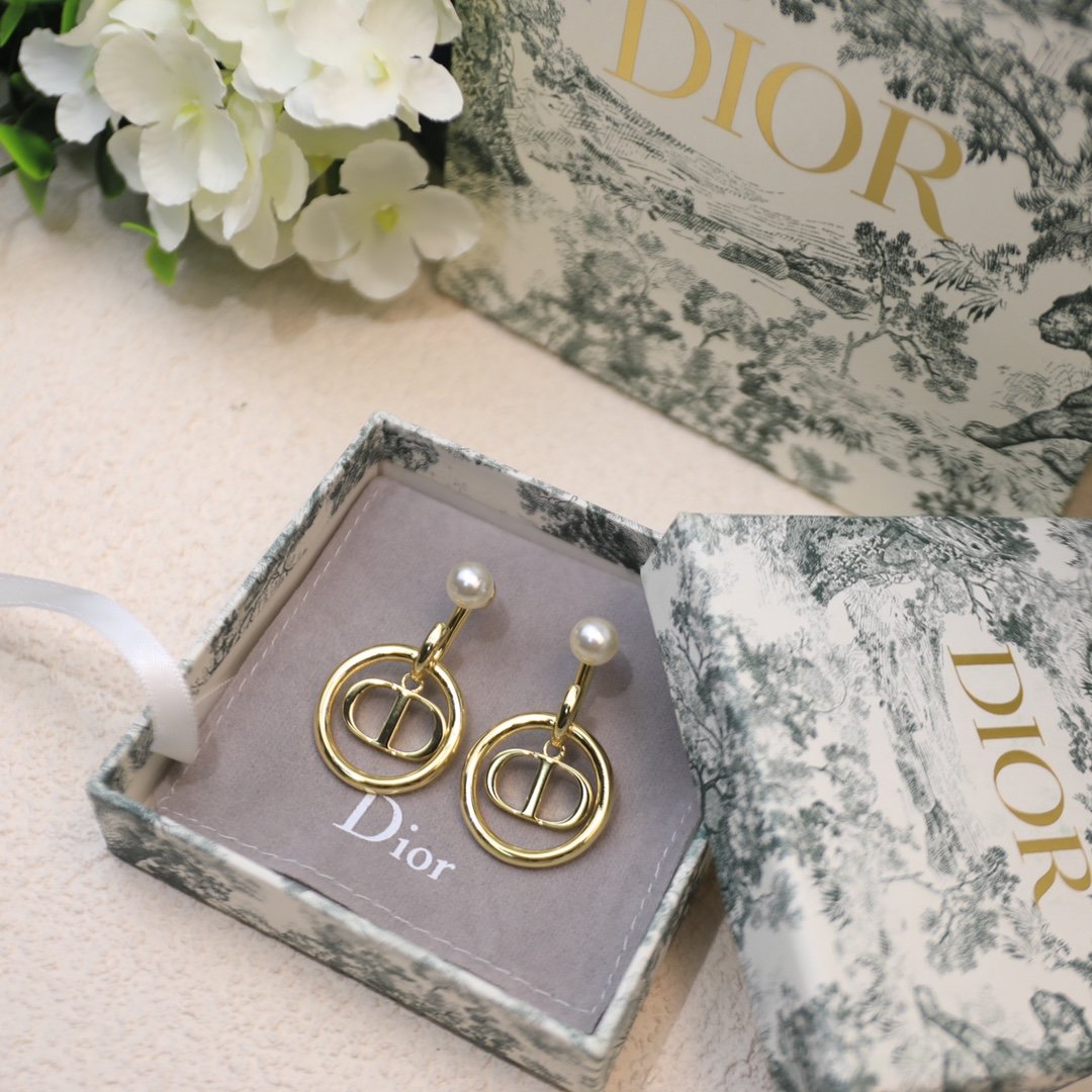 Dior Earrings - Soul Replicas