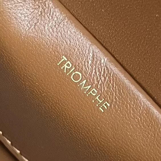 Celine Box Triomphe In Triomphe Canvas Tan For Women 9in/22cm 199992CUZ.04LU - Soul Replicas