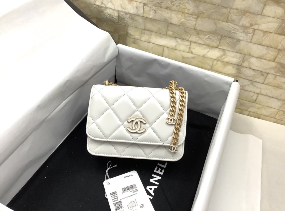 ChanelSpring And Summer 22C White For Women. Women-s Bags 6.1in/15.5cm - Soul Replicas