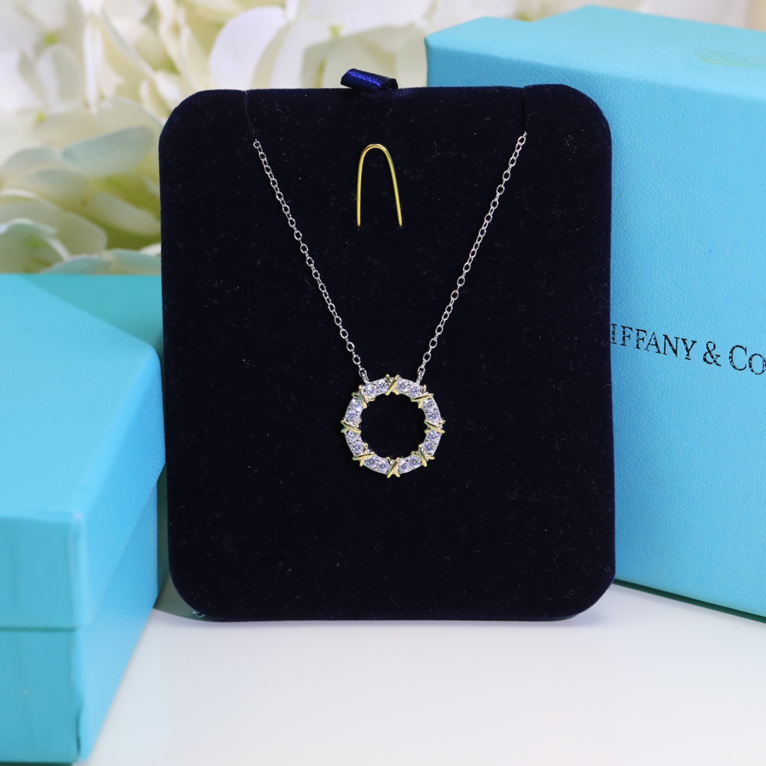 Tiffany & Co Sixteen Stone Circle Pendant Necklace 60022678 - Soul Replicas