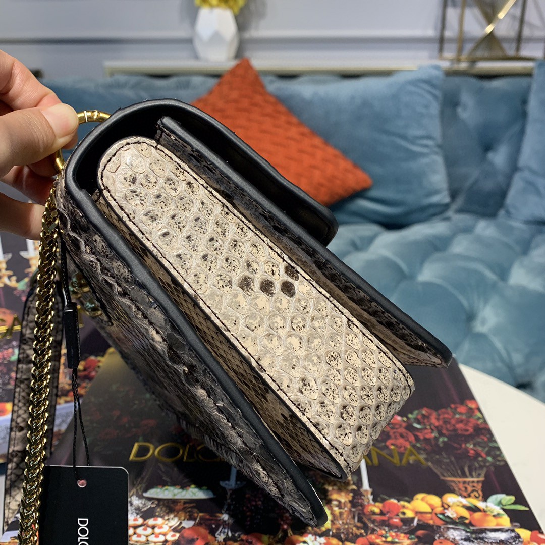 Dolce & Gabbana Medium DG Bag In Printed Solid Pattern Muticolour For Women 9in/23cm DG - Soul Replicas