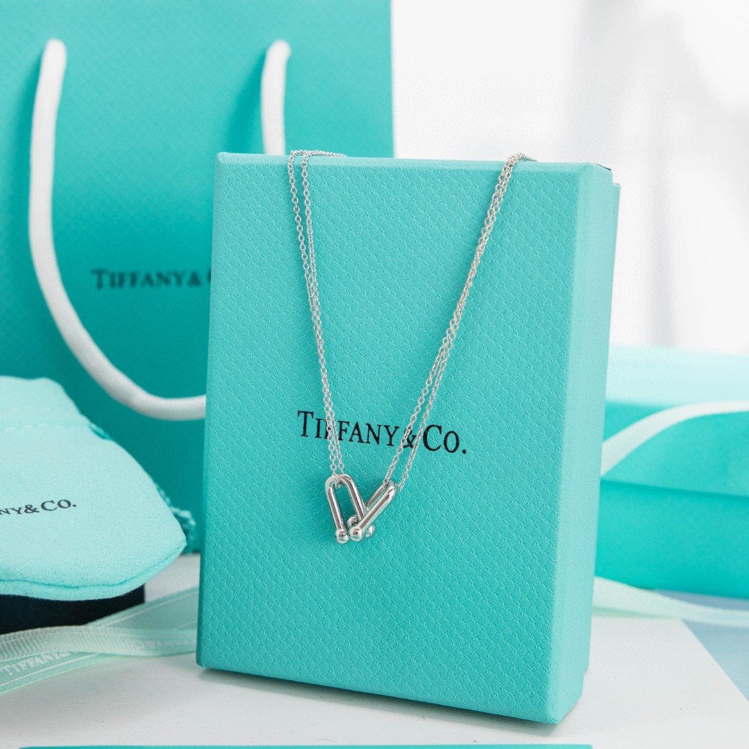 Tiffany & Co HardWear Double Link Pendant Necklace Sterling Silver 63104337 - Soul Replicas