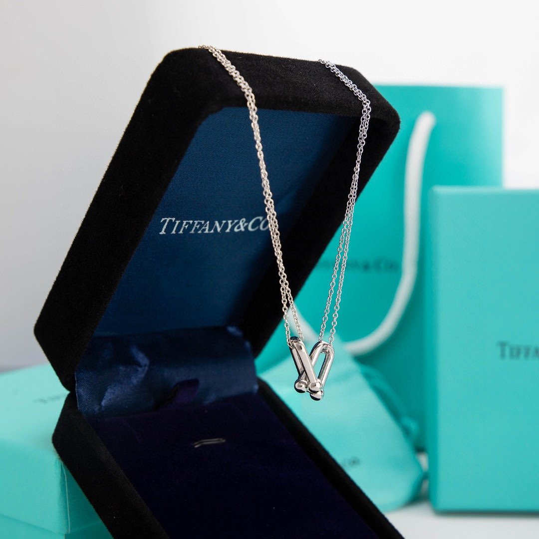 Tiffany & Co HardWear Double Link Pendant Necklace Sterling Silver 63104337 - Soul Replicas
