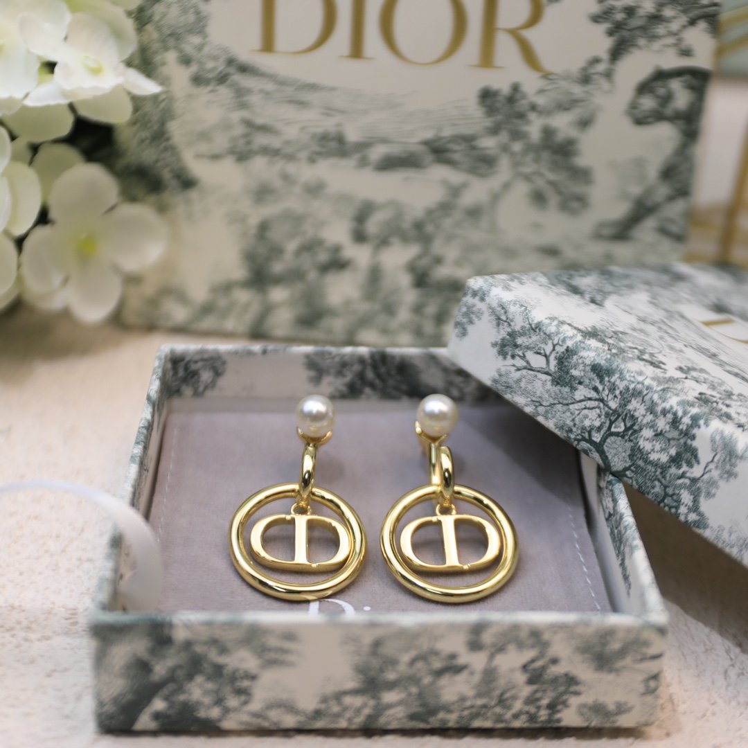 Dior Earrings - Soul Replicas