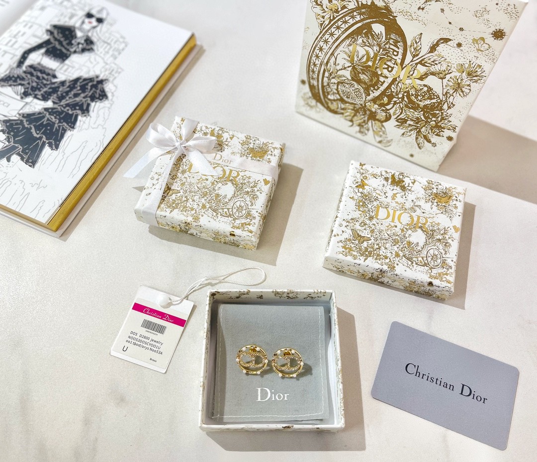 Dior Clair D Lune Earrings - Soul Replicas