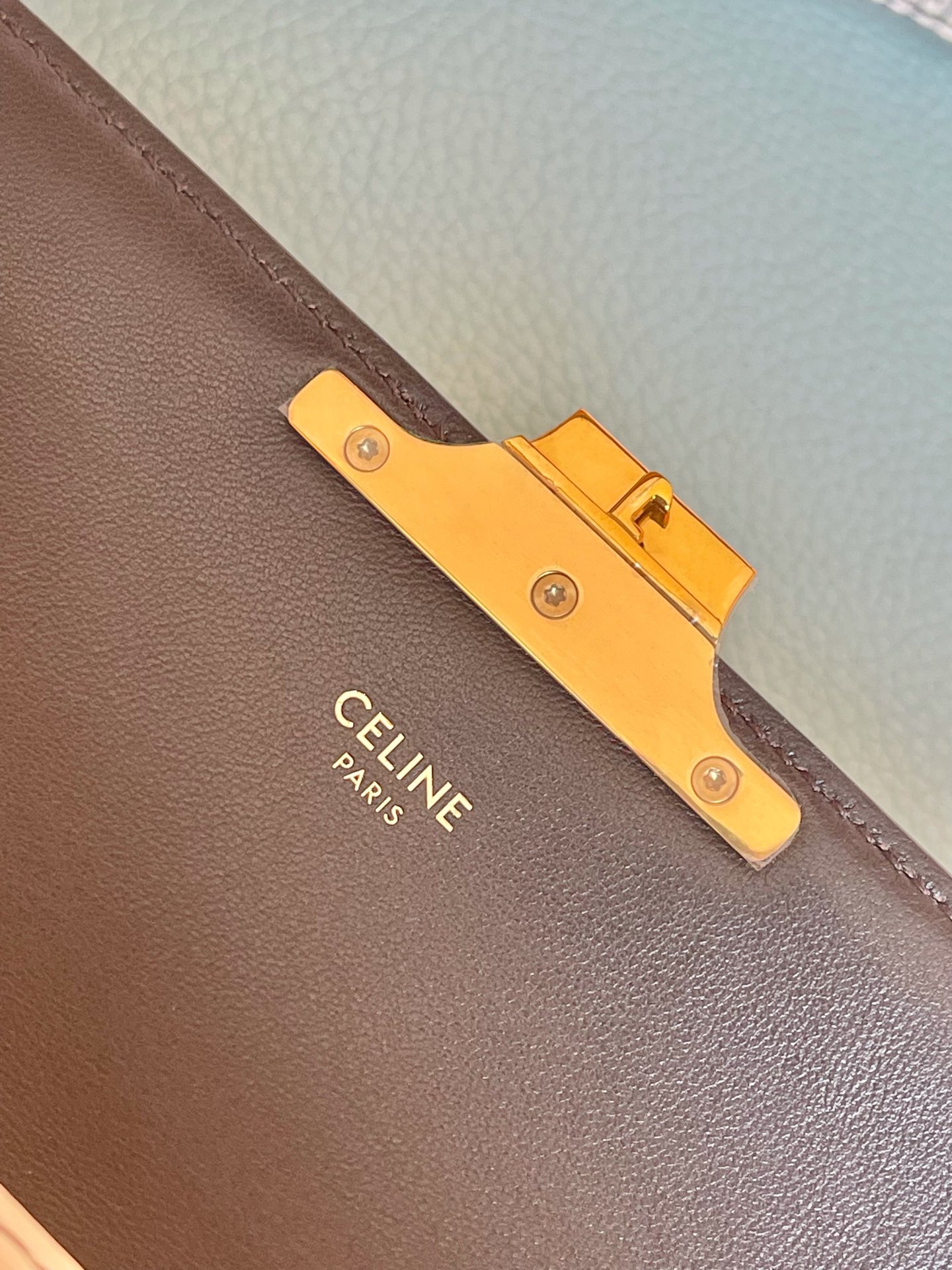 Celine Triomphe Shoulder Bag In Lizard Natural For Women 8in/20cm 194144BF5.02VG - Soul Replicas