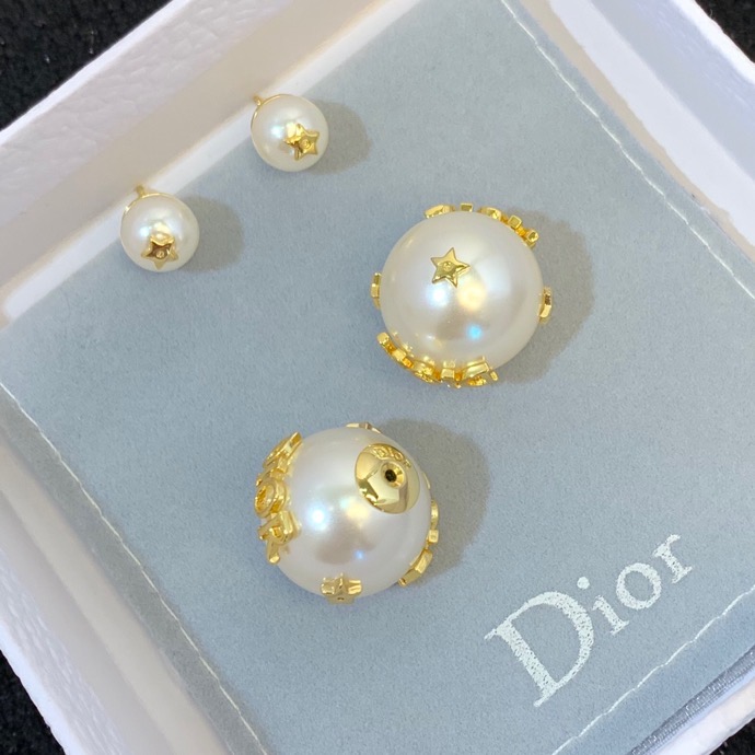 Dior Tribales Earrings - Soul Replicas