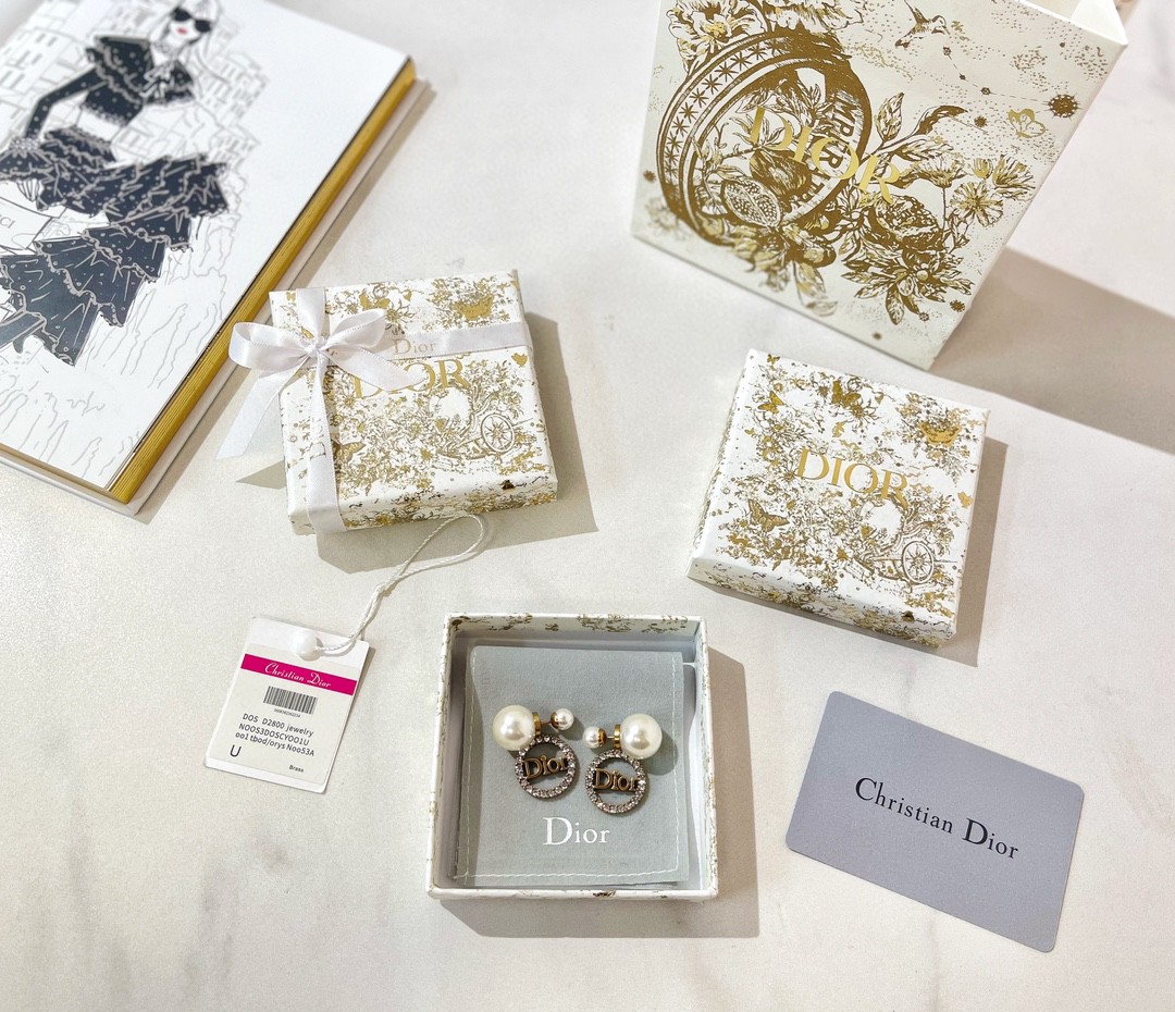 Dior Tribales Earrings - Soul Replicas