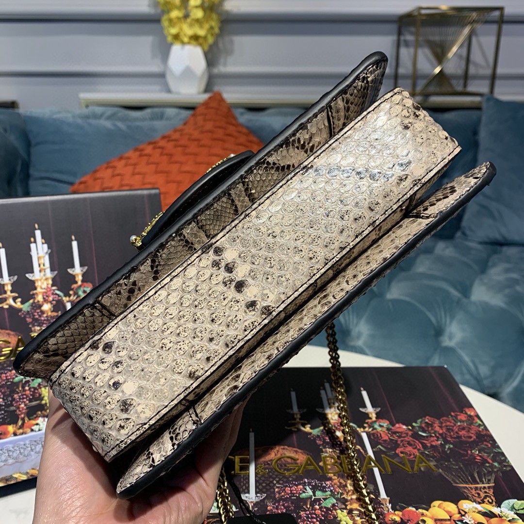 Dolce & Gabbana Medium DG Bag In Printed Solid Pattern Muticolour For Women 9in/23cm DG - Soul Replicas