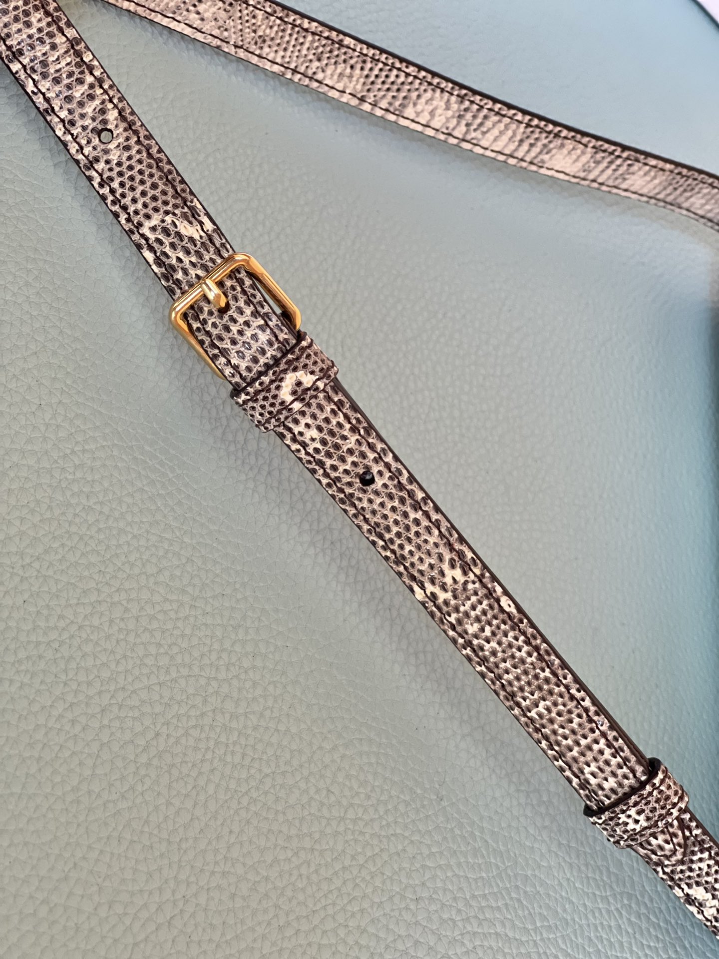 Celine Triomphe Shoulder Bag In Lizard Natural For Women 8in/20cm 194144BF5.02VG - Soul Replicas