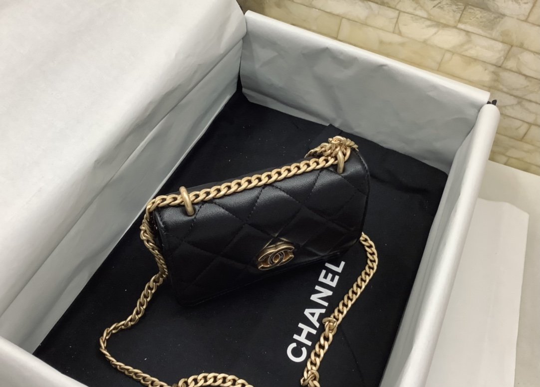 ChanelSpring And Summer 22C Black For Women. Women-s Bags 6.1in/15.5cm - Soul Replicas