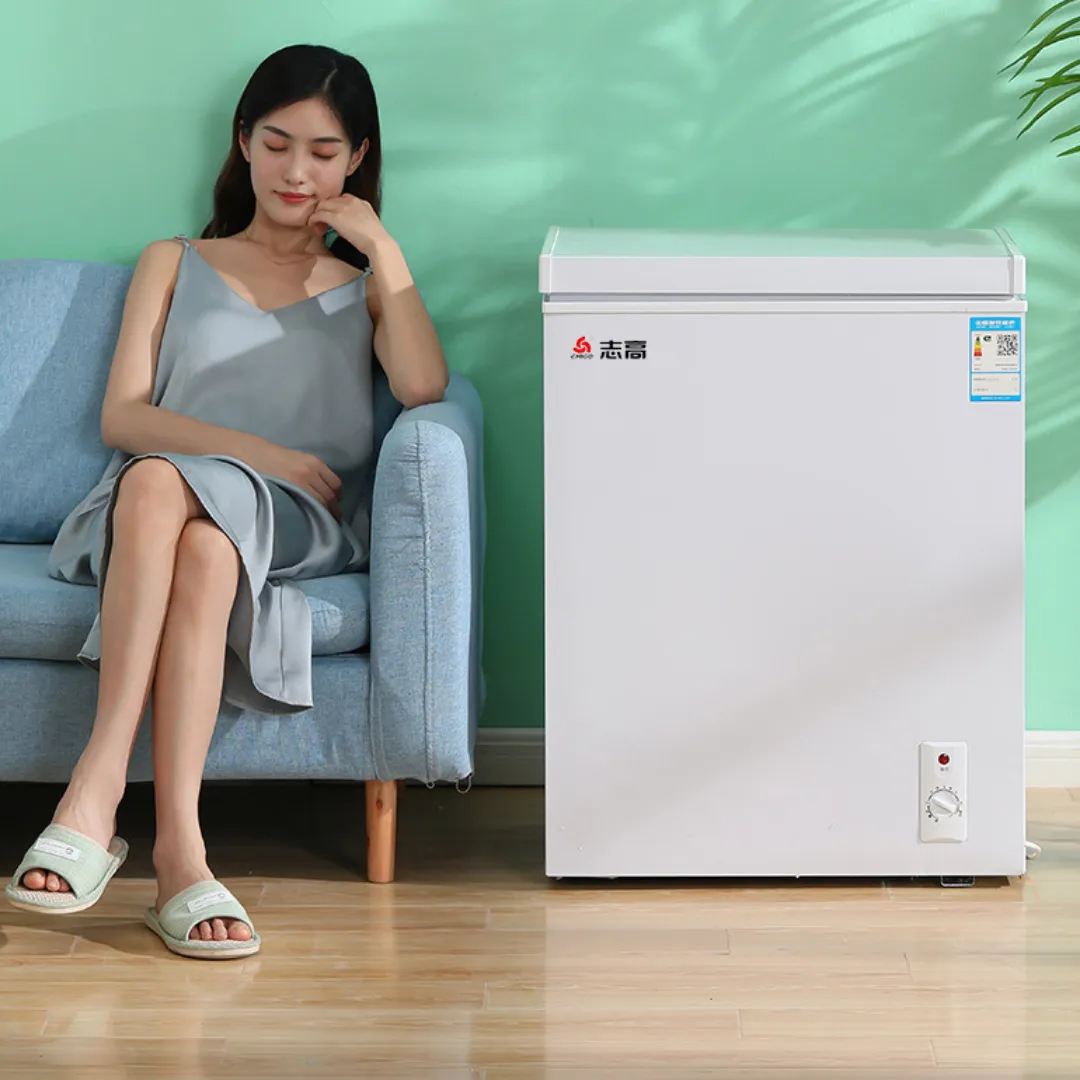 Refrigerador y congelador de doble uso para el hogar con ahorro de energía de 220V