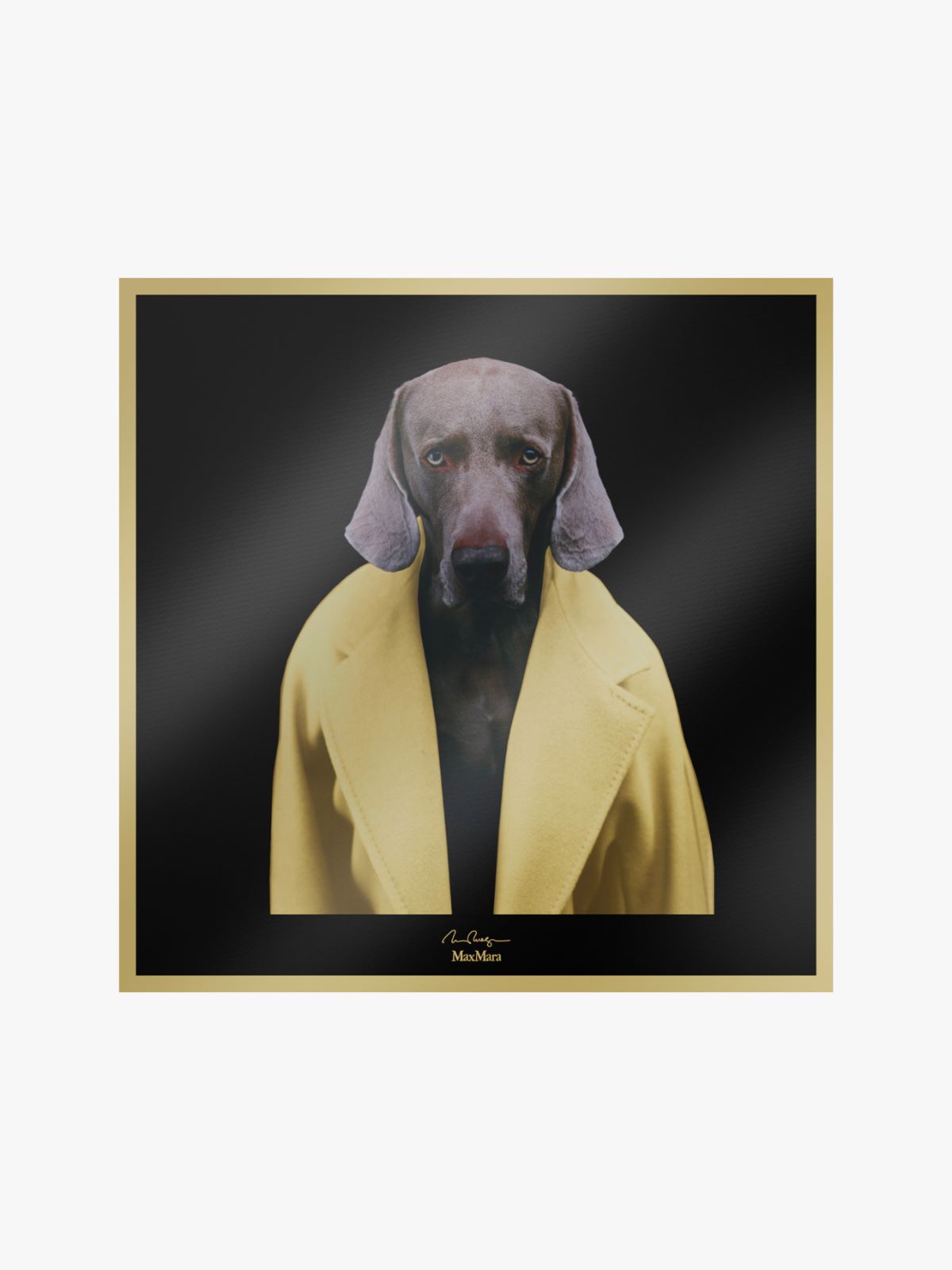 Printed silk foulard