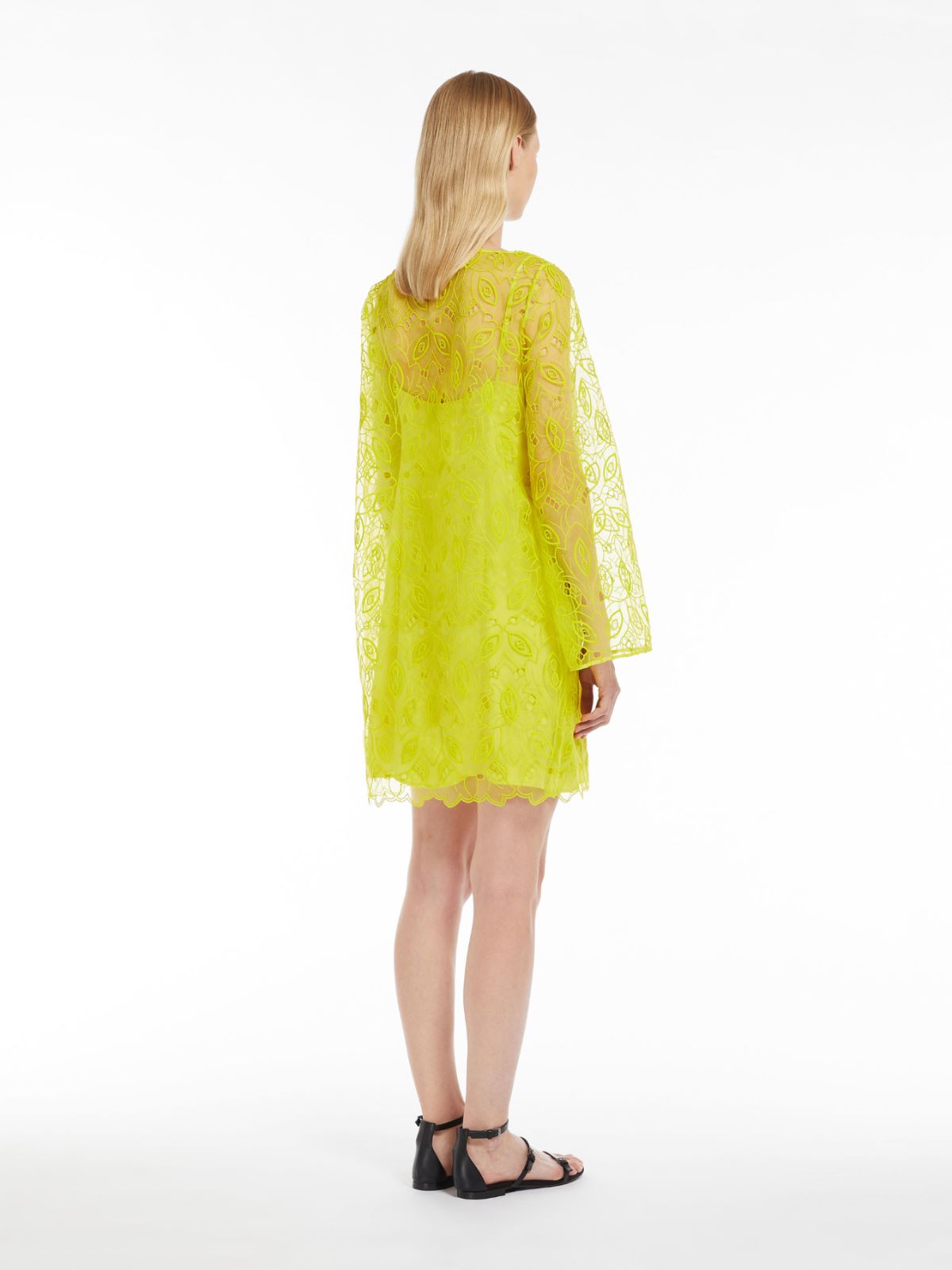 Embroidered organza mini dress