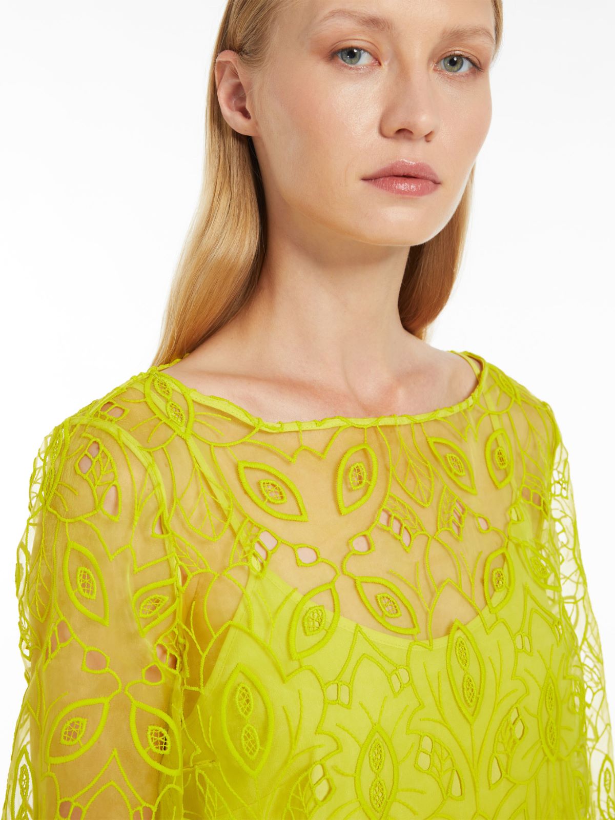 Embroidered organza mini dress