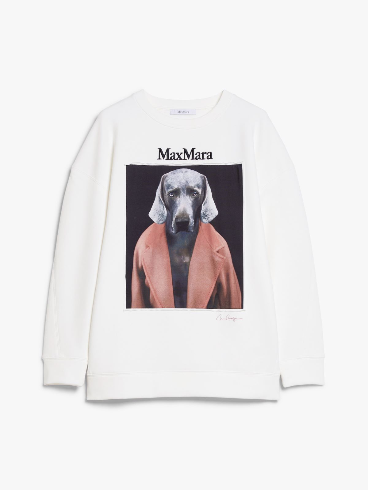 Cotton sweatshirt with Wegman print