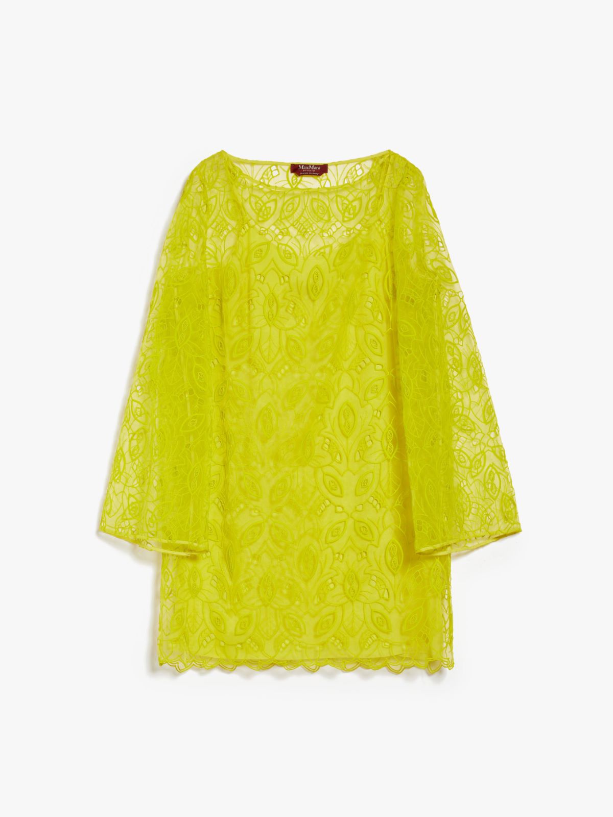 Embroidered organza mini dress