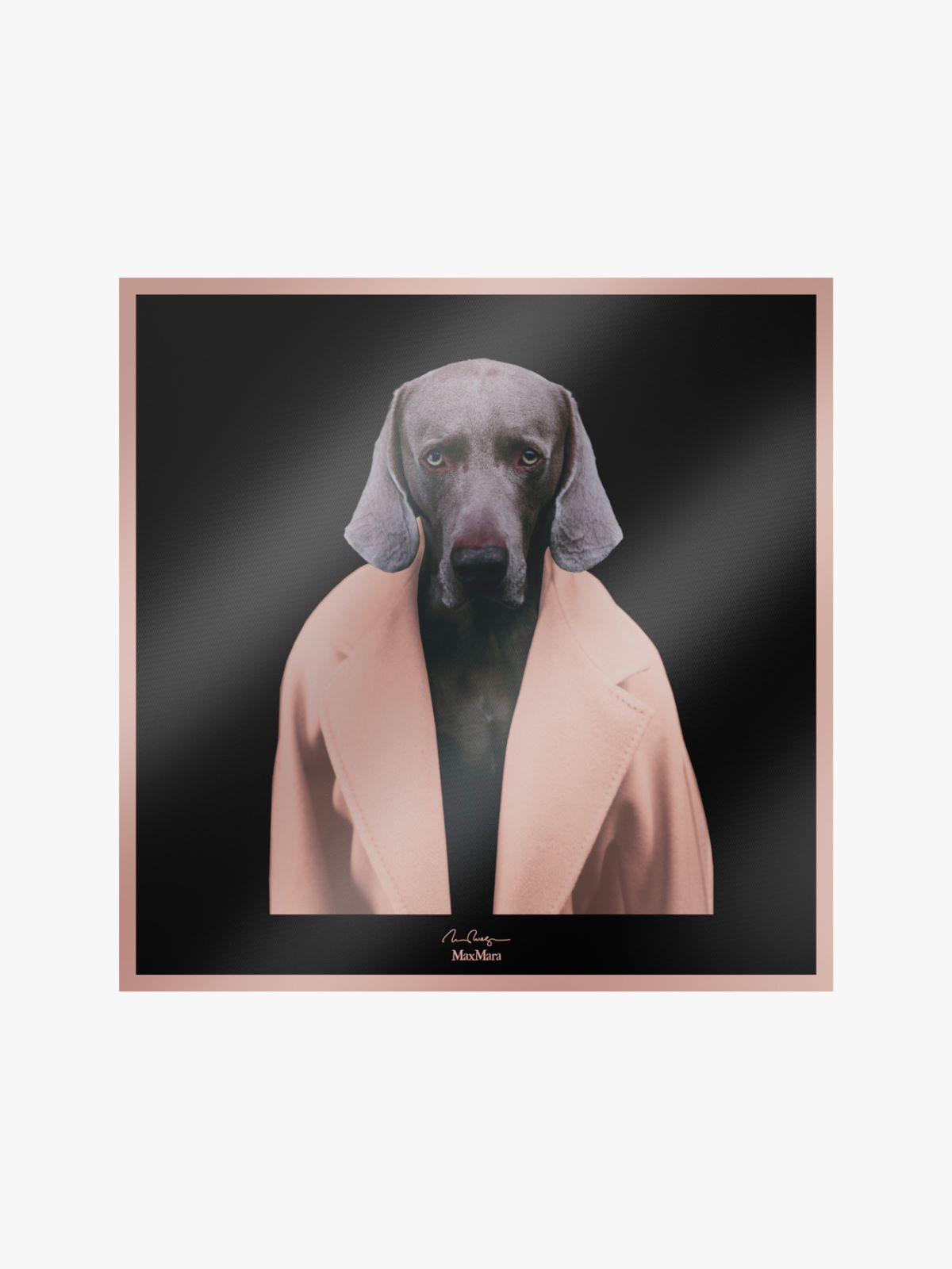 Printed silk foulard