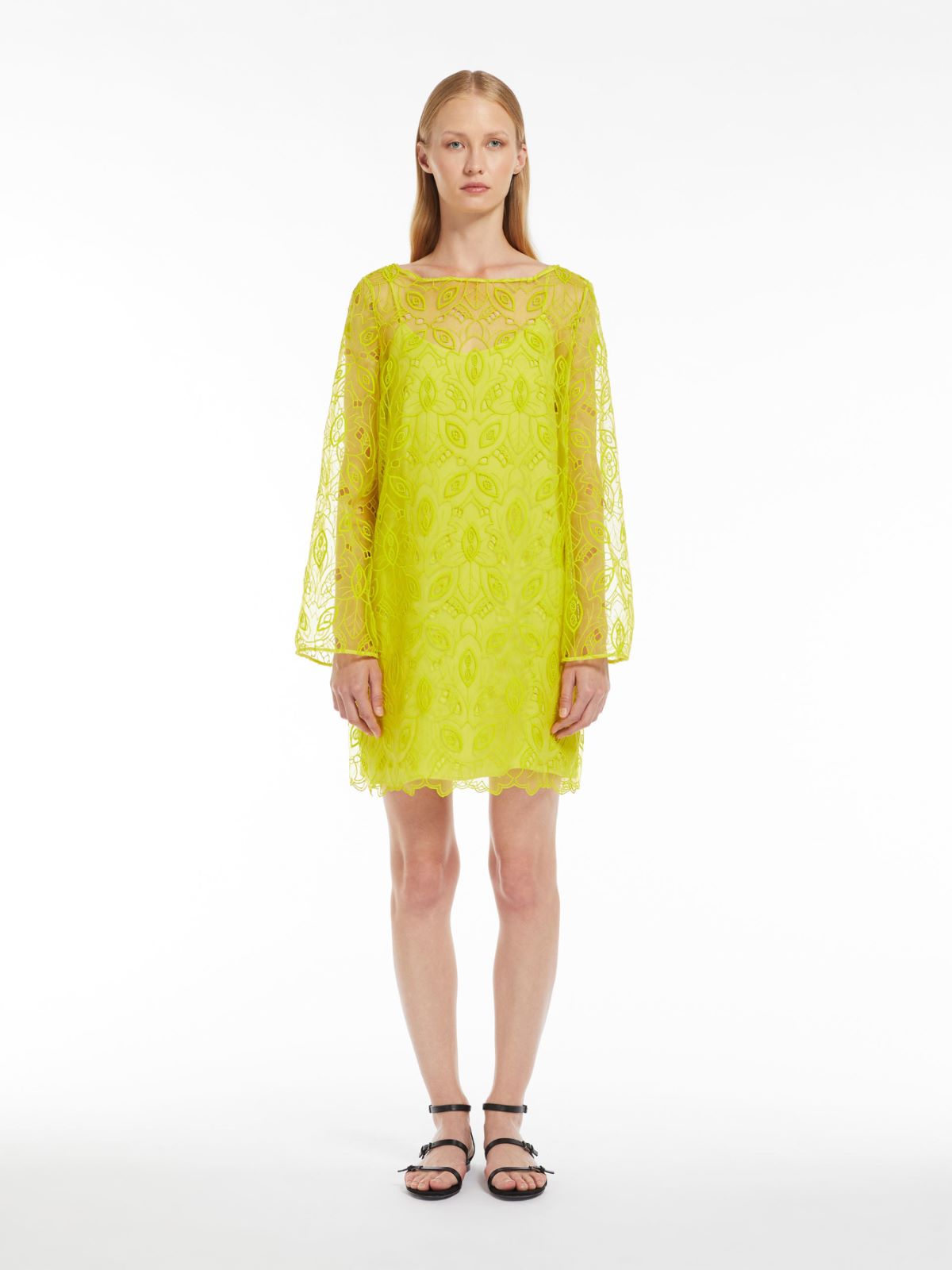 Embroidered organza mini dress