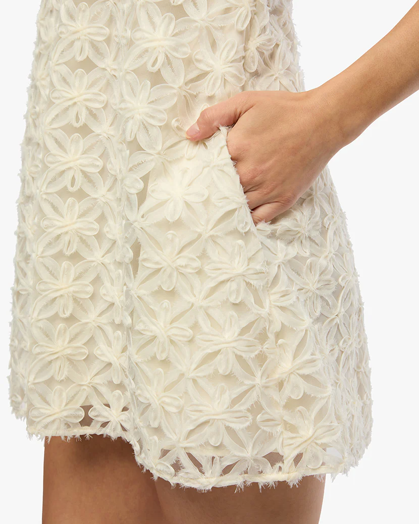 A-line Lace Mini Dress