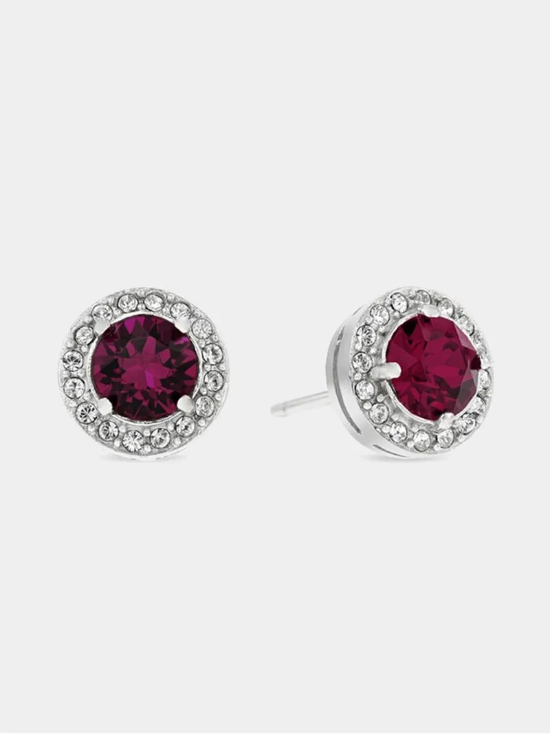 Sterling Silver Crystal Women's February Birthstone Stud Earrings