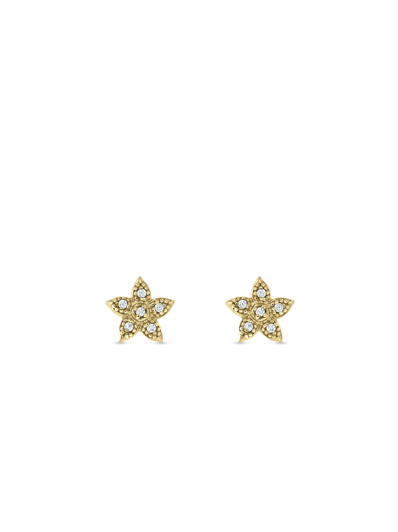 Sterling Silver & Yellow Gold, Cubic Zirconia Star Shape Stud Earrings