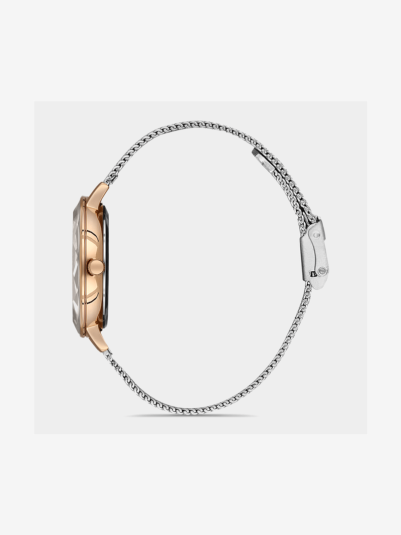 Daniel Klein Two-Tone Rose Plated Silver Dial Mesh Watch
