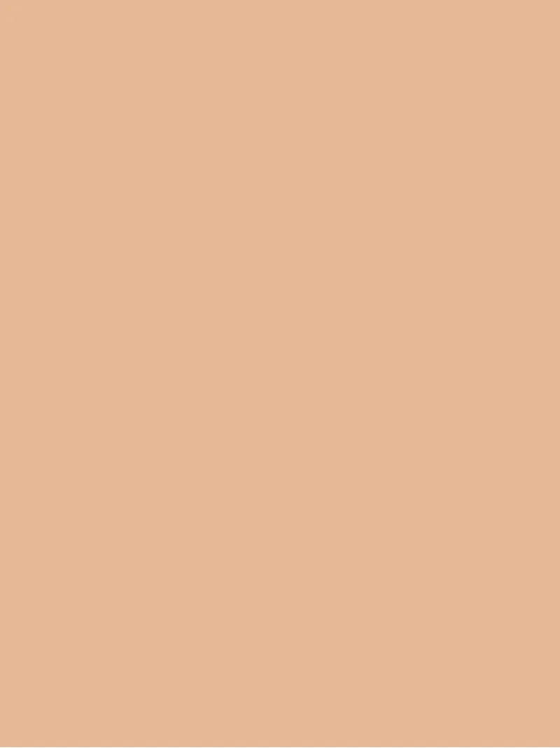 L'Oréal Infaillible 32HR Full-Coverage Freshwear Foundation Vitamin C + SPF25