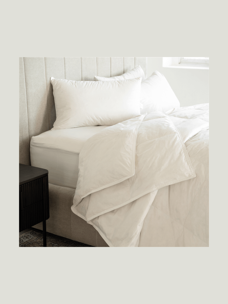Gold Seal Certified Egyptian Cotton 600 Thread Count Fitted Sheet White