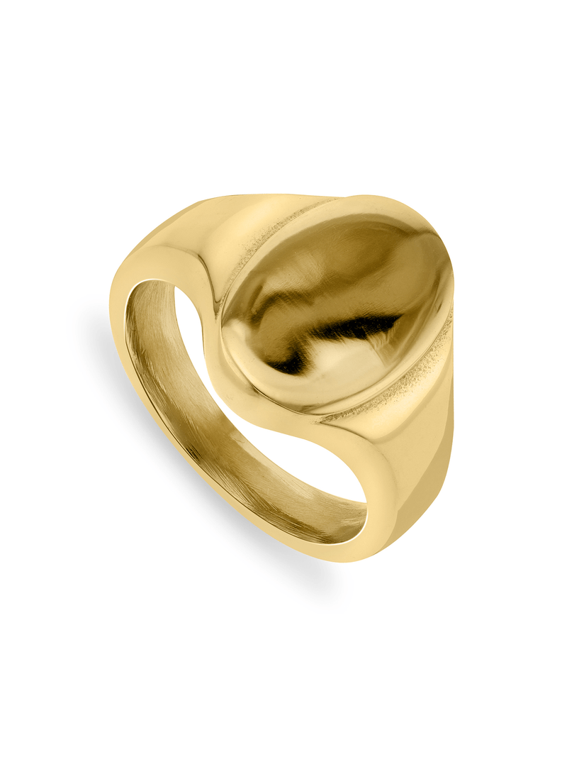 Stainless Steel Gold Plated Oval Men's Signet Ring
