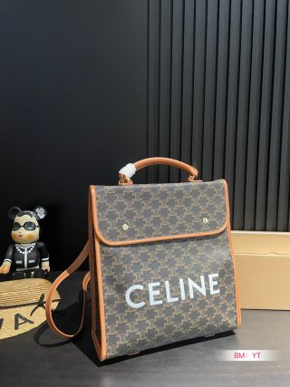 Celine Bag CE817