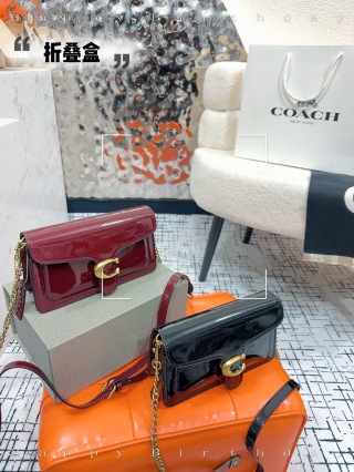 Coach Bag C1247