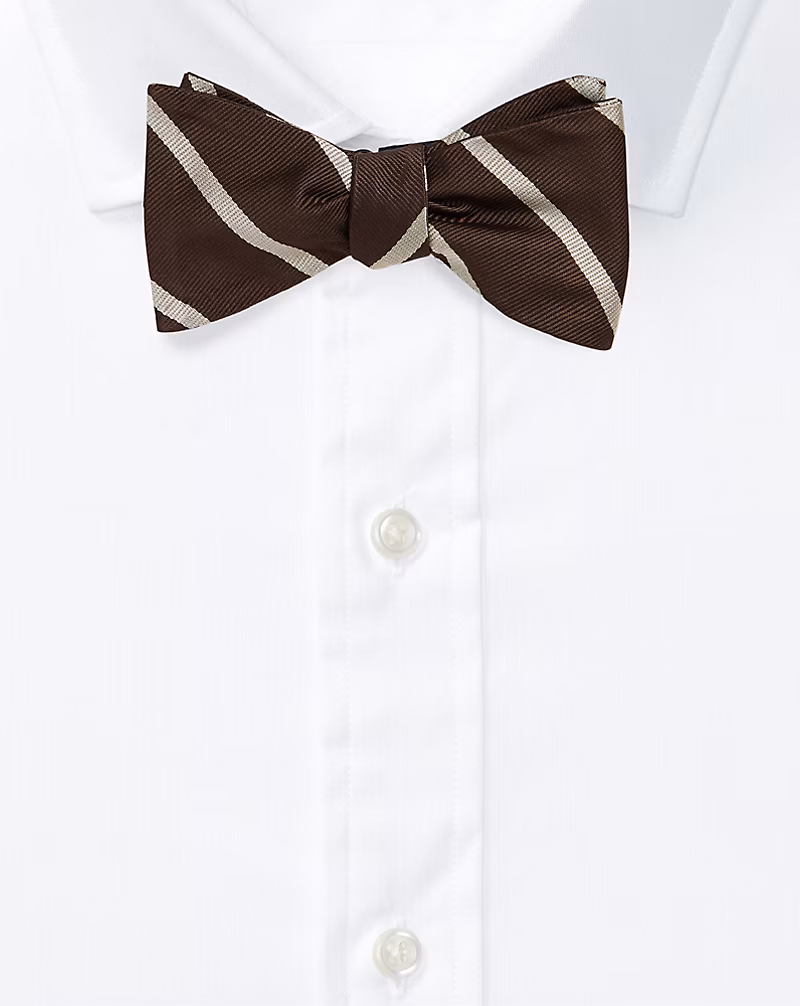 ストライプド シルク ボウ タイ
