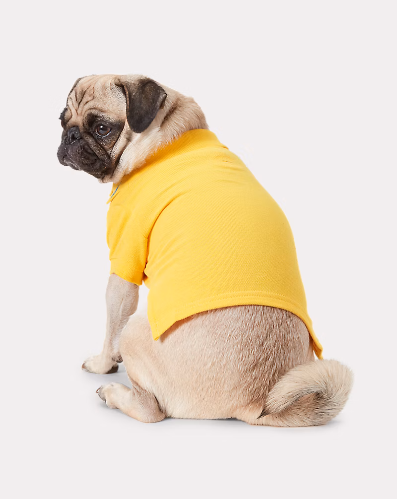 コットン メッシュ ドッグ ポロシャツ