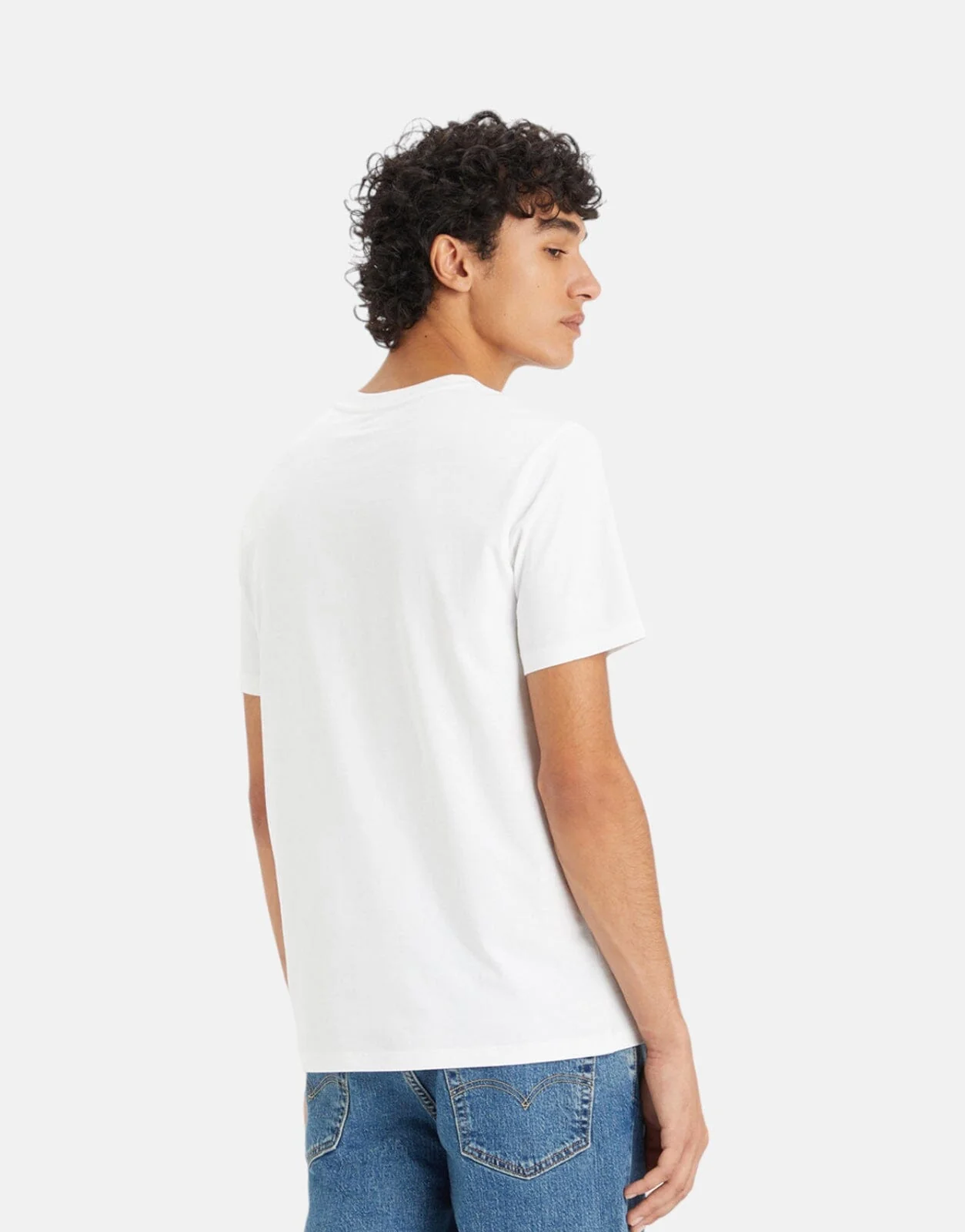 Levi's Graphic Arched Type 7 T-Shirt