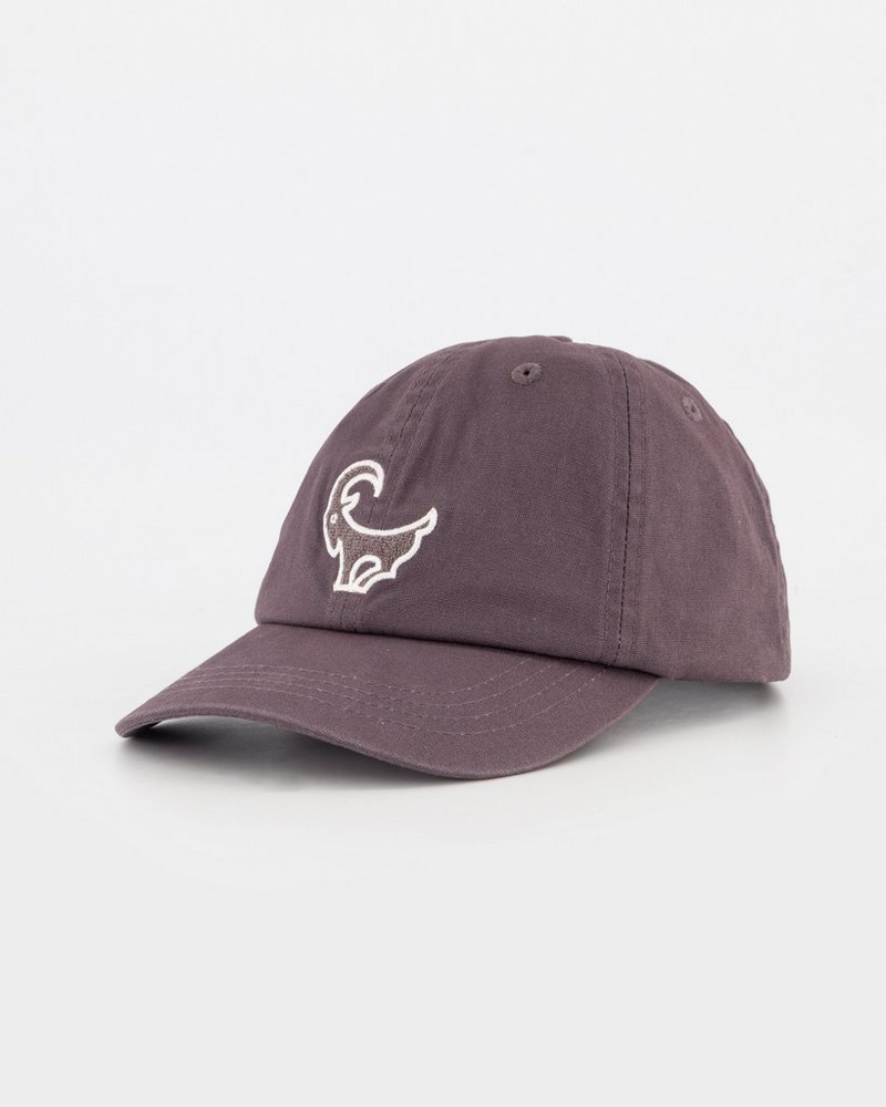 Men's Carlsen Peak Cap