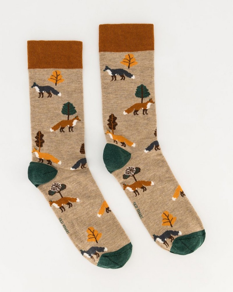 Men’s Bello Printed Socks