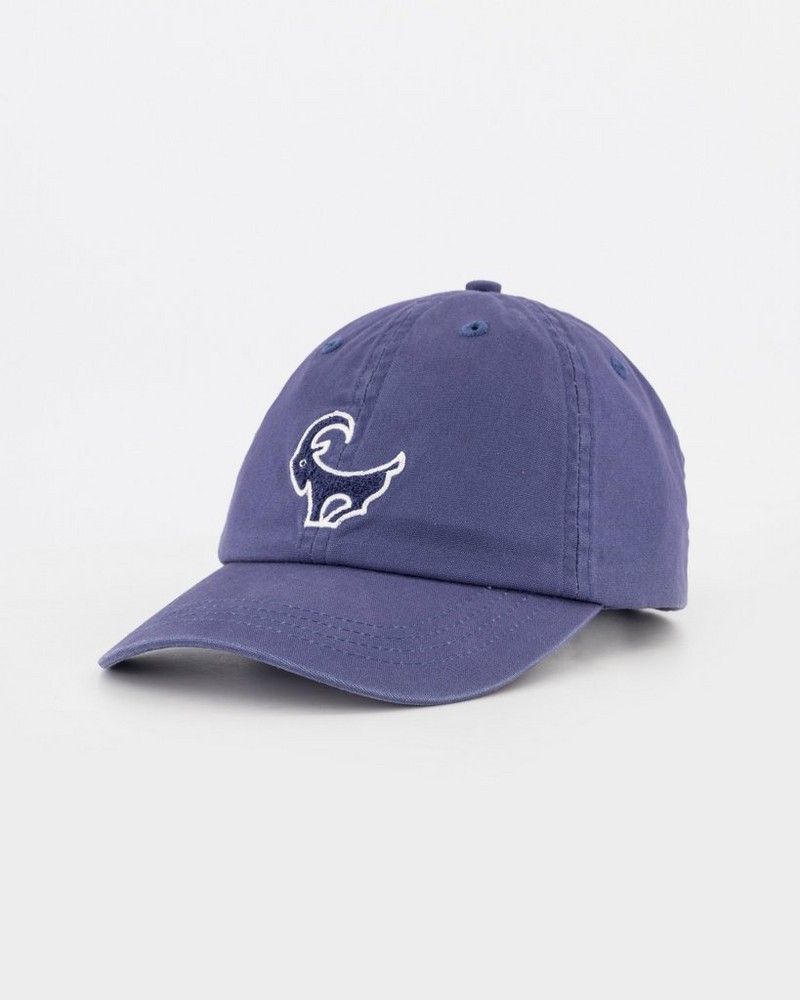 Men's Carlsen Peak Cap