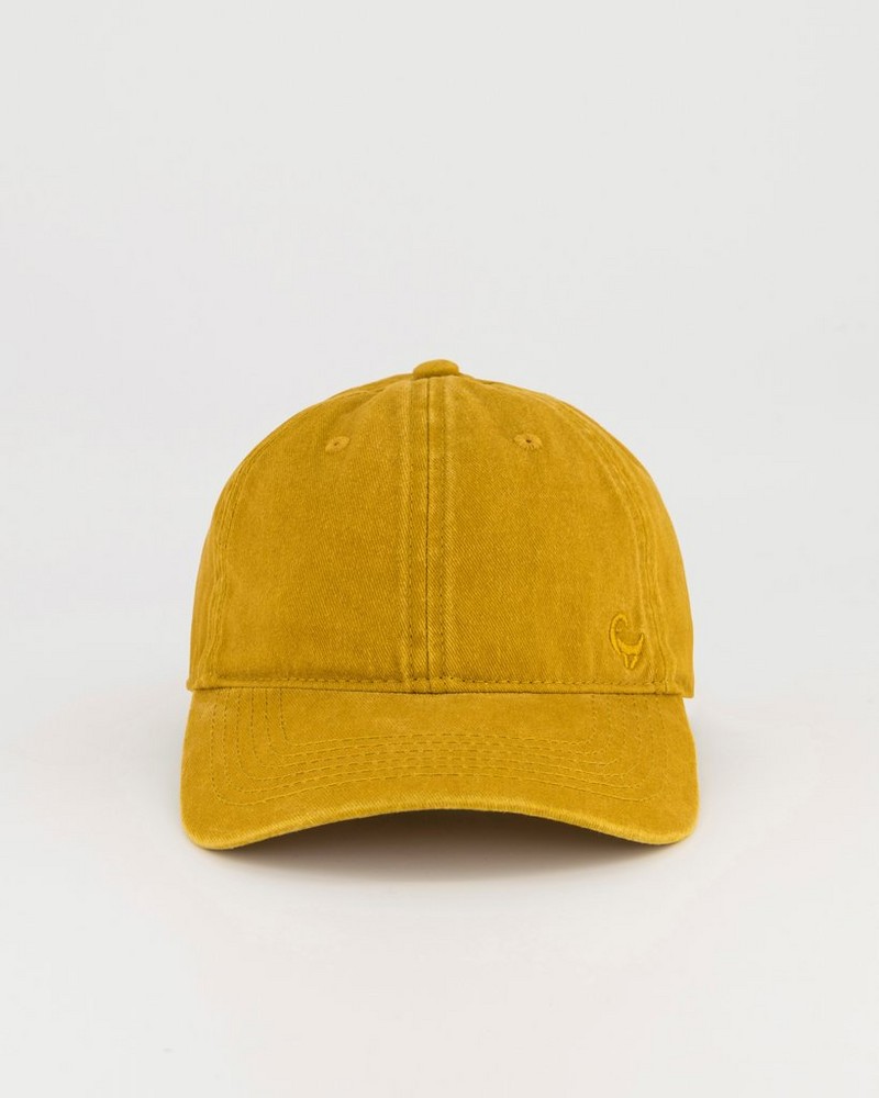 Colt Promo Lived-In Cap