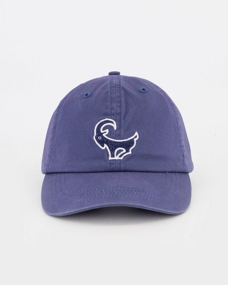 Men's Carlsen Peak Cap