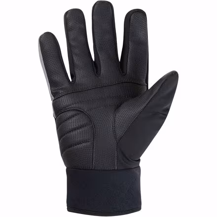 C5 GORE-TEX Thermo Glove - Men's
