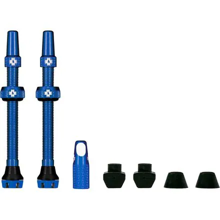 V2 Tubeless Valve Kit