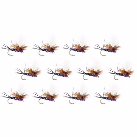 Para-Wulff - 12-Pack